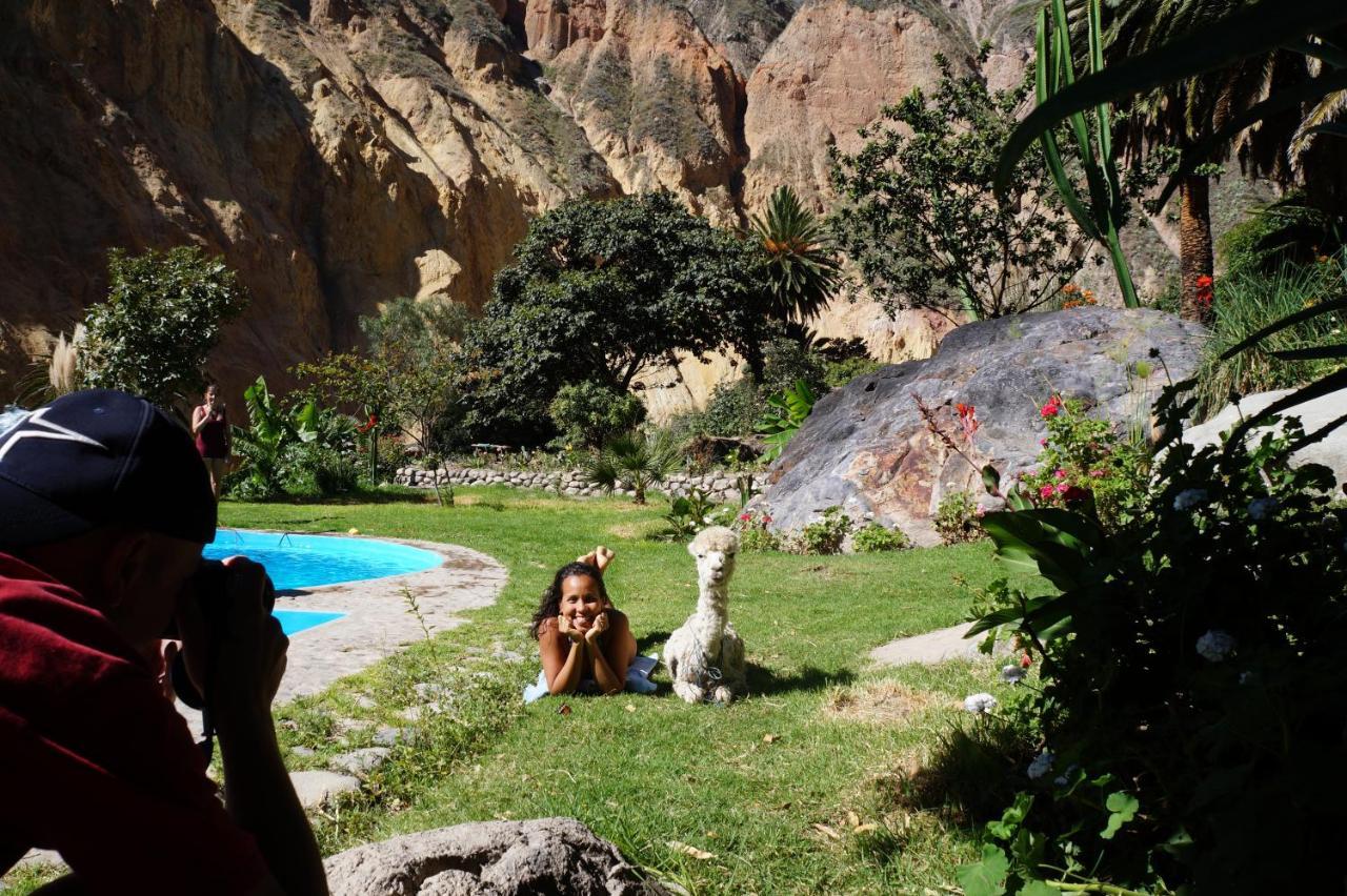 קבאנהקונדה Paraiso Las Palmeras Lodge מראה חיצוני תמונה