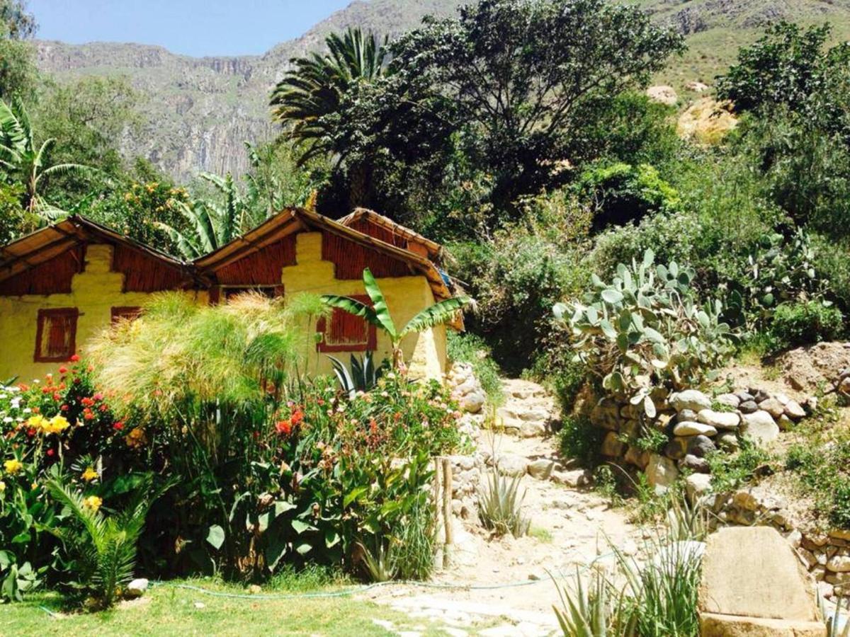 קבאנהקונדה Paraiso Las Palmeras Lodge מראה חיצוני תמונה