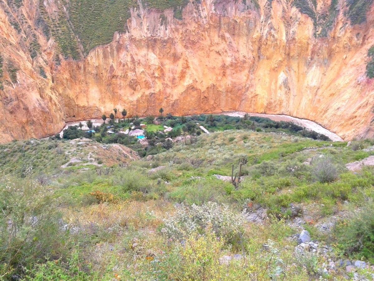 קבאנהקונדה Paraiso Las Palmeras Lodge מראה חיצוני תמונה