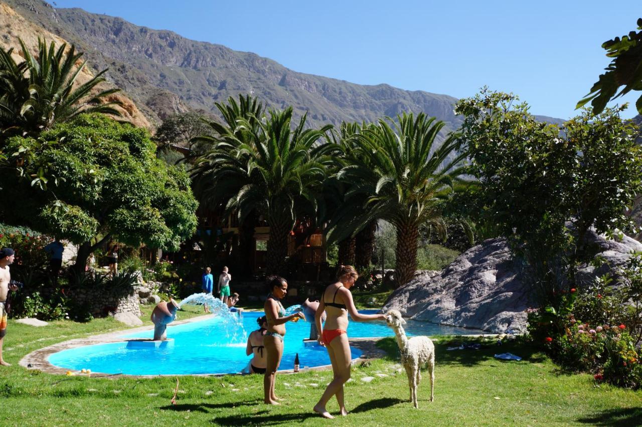 קבאנהקונדה Paraiso Las Palmeras Lodge מראה חיצוני תמונה