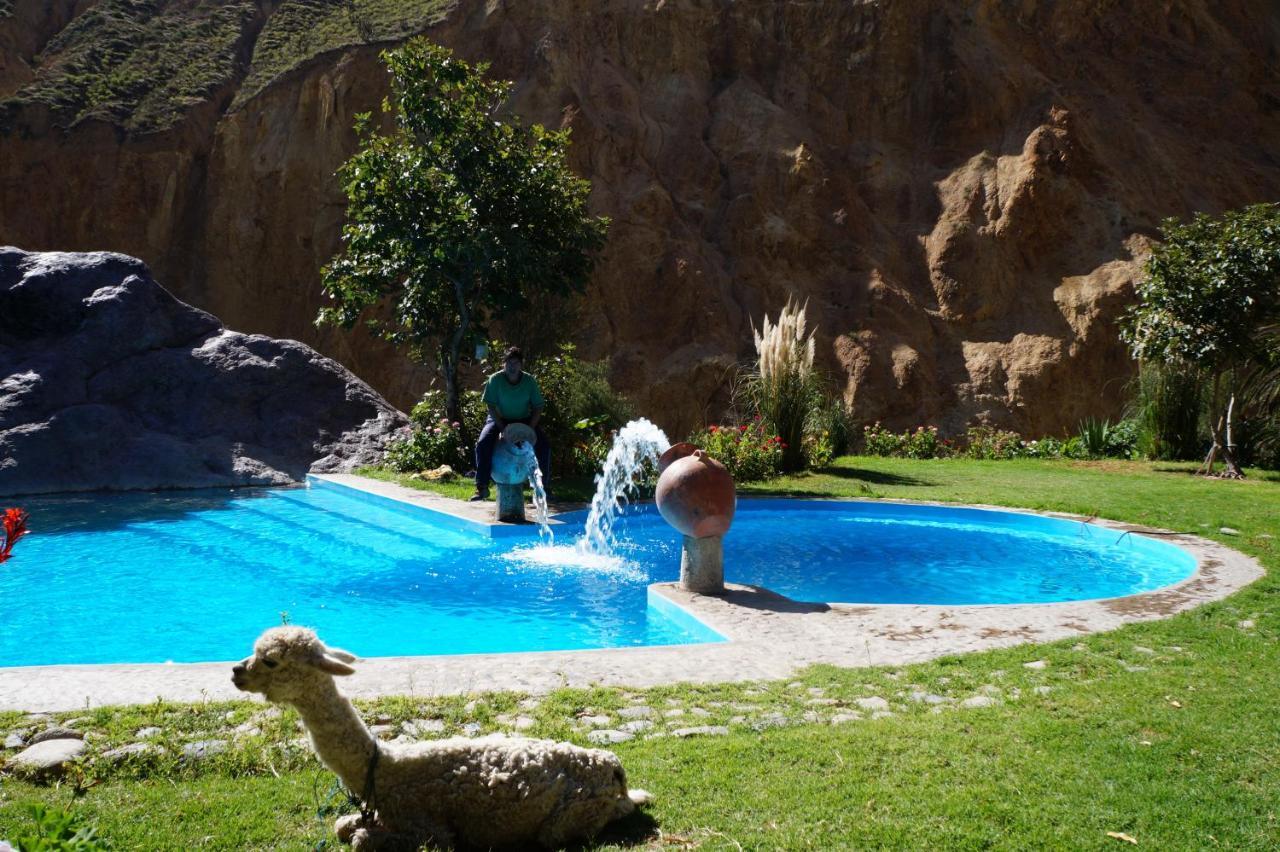 קבאנהקונדה Paraiso Las Palmeras Lodge מראה חיצוני תמונה