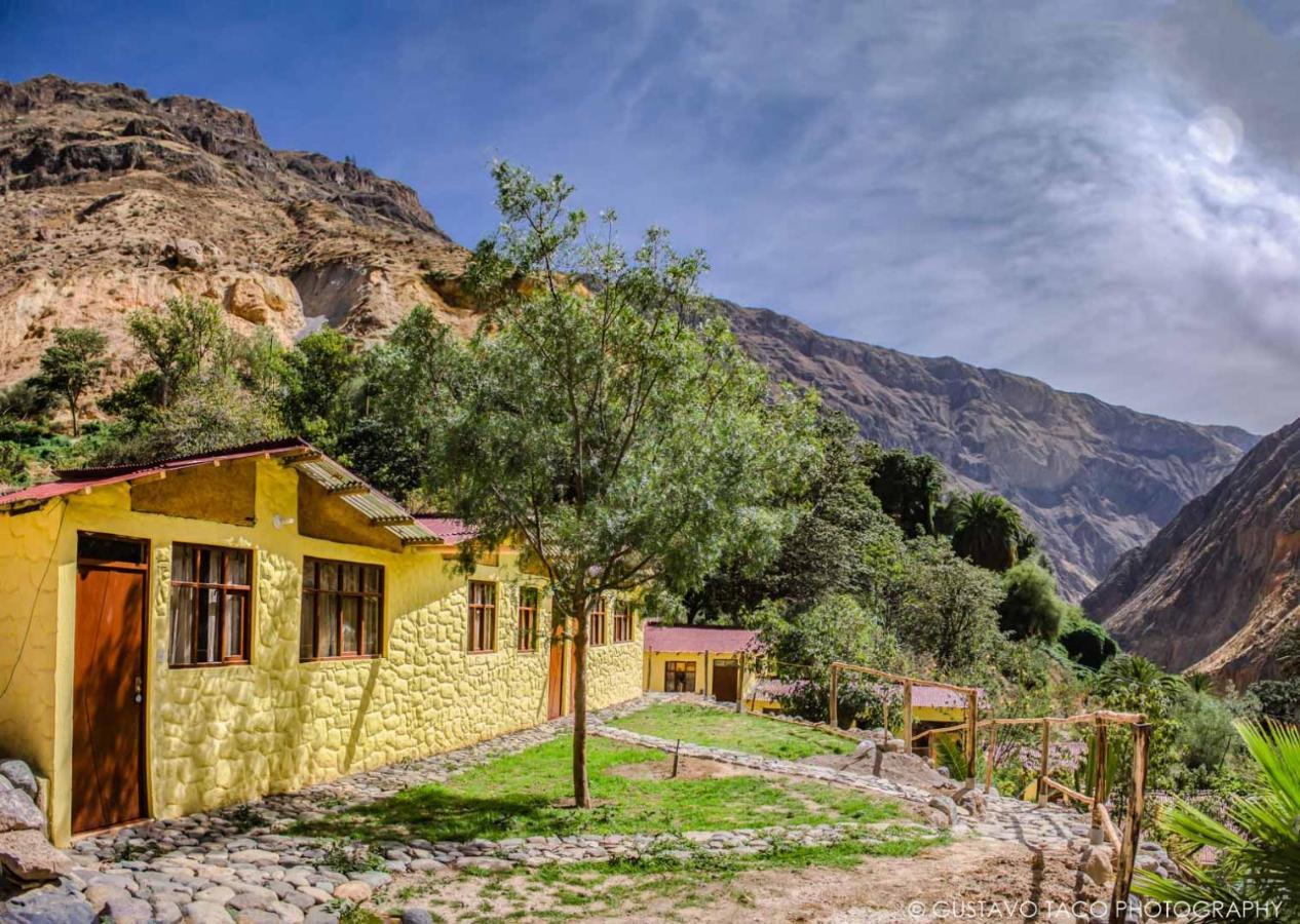קבאנהקונדה Paraiso Las Palmeras Lodge מראה חיצוני תמונה