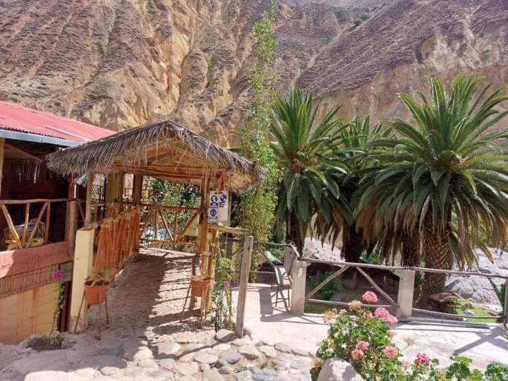 קבאנהקונדה Paraiso Las Palmeras Lodge מראה חיצוני תמונה