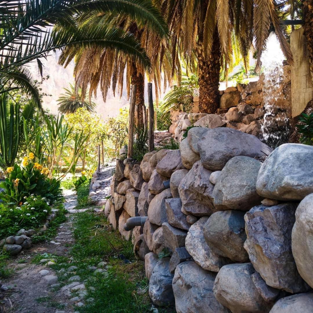 קבאנהקונדה Paraiso Las Palmeras Lodge מראה חיצוני תמונה
